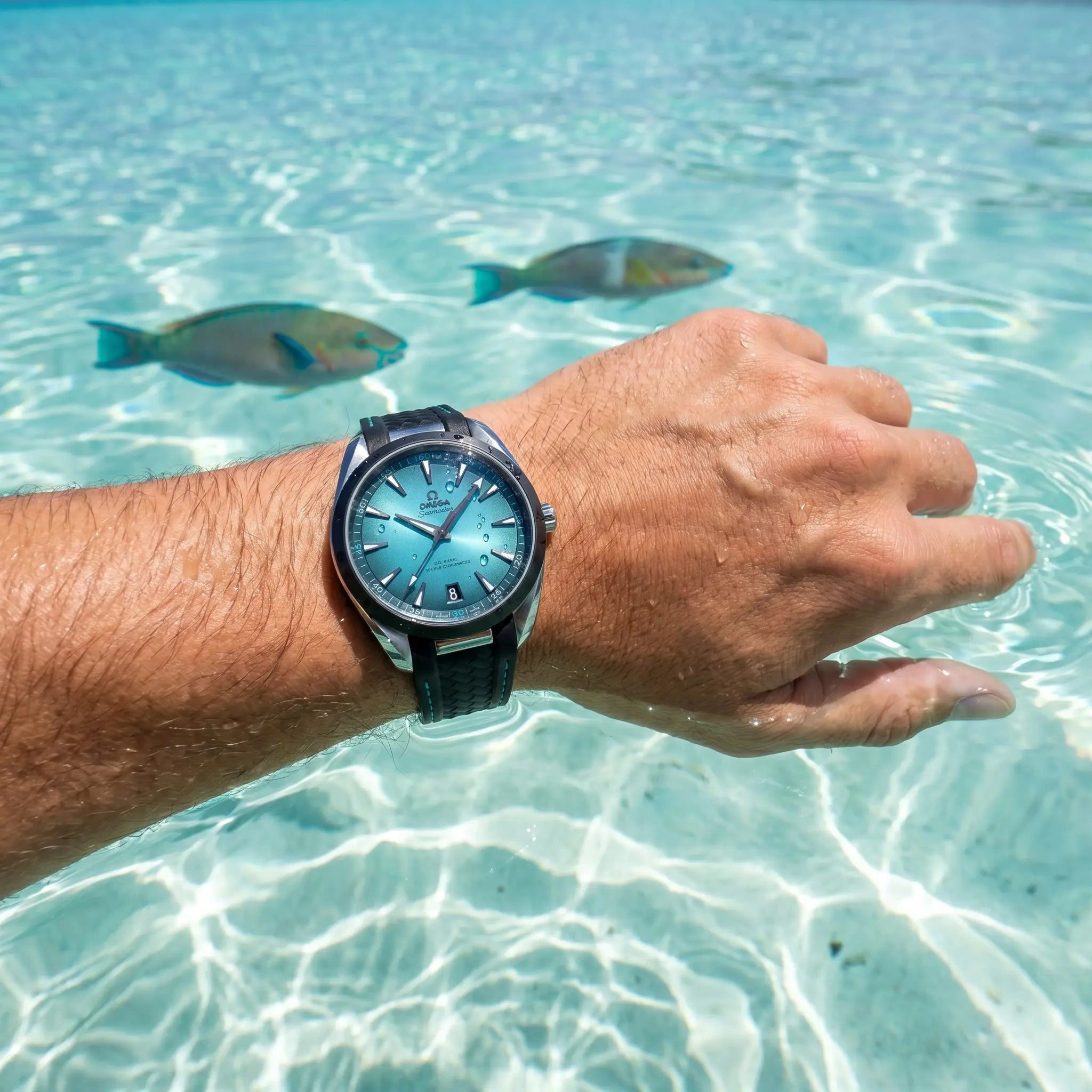 OMG Seamaster Aqua Terra Turquoise
