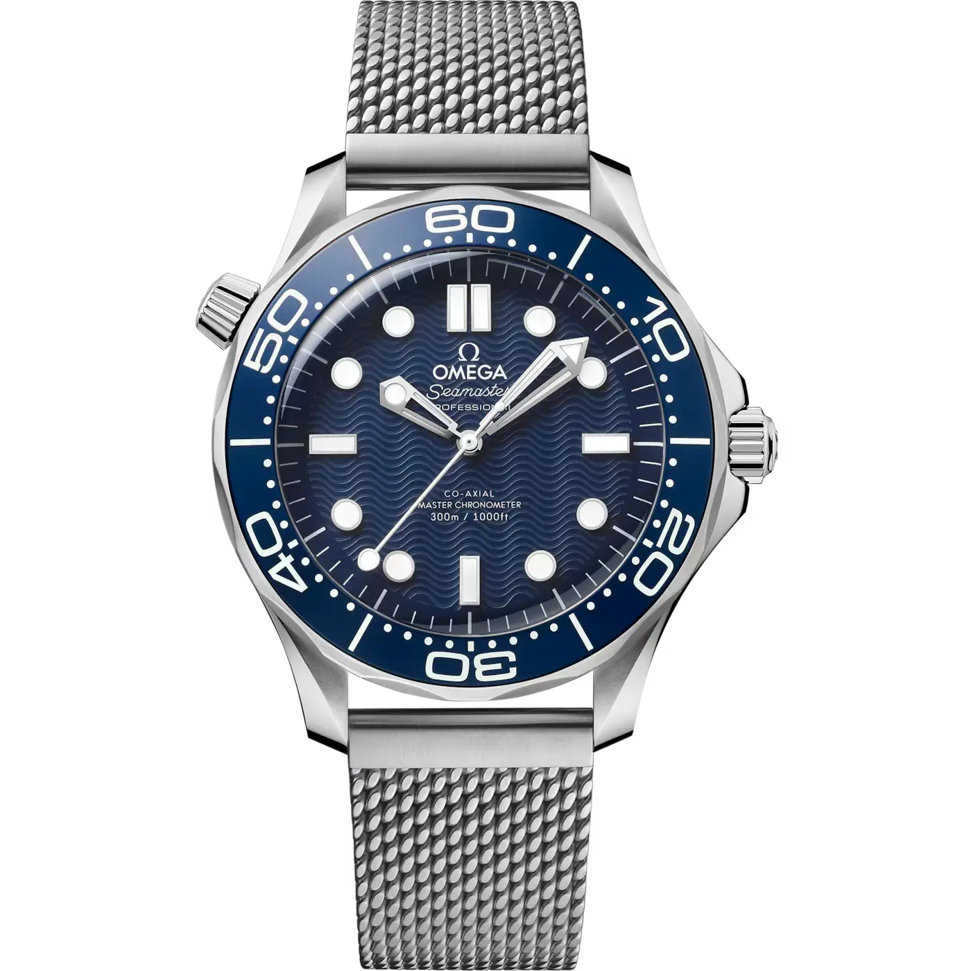 OMG Seamaster Diver 300M
